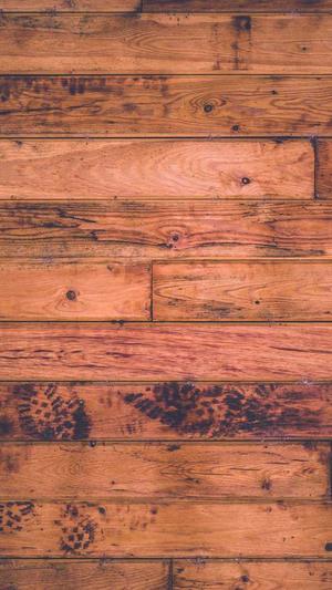 蜘蛛池出租价格表截图3