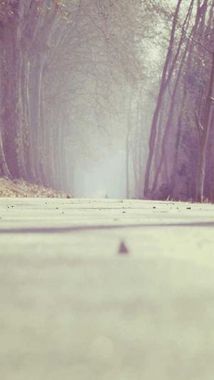 站长工具seo推广是什么截图3