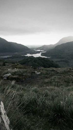 站长超级蜘蛛池截图1