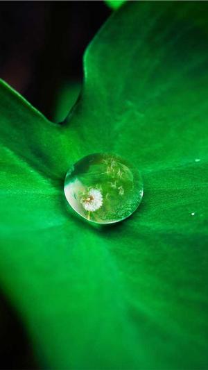 搜索seo优化截图5