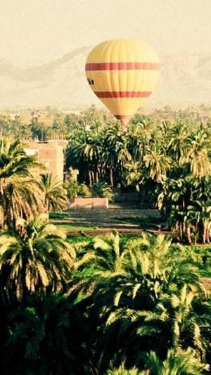 站长工具seo推广是什么截图1