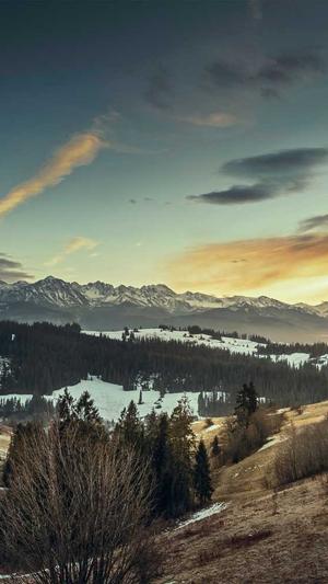 重庆企业站seo截图3