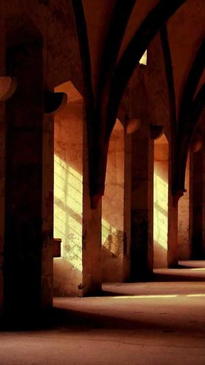 大庆网站建设截图2