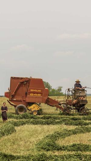 SEO查询工具截图3