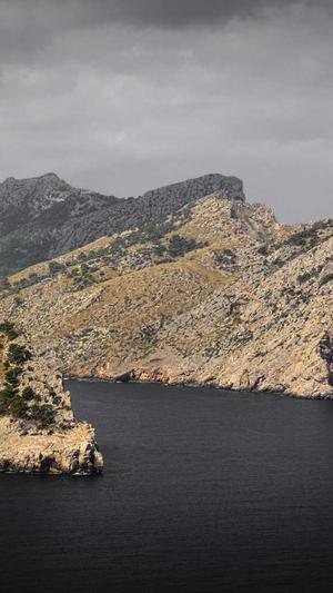 中国建设监理协会网站截图4