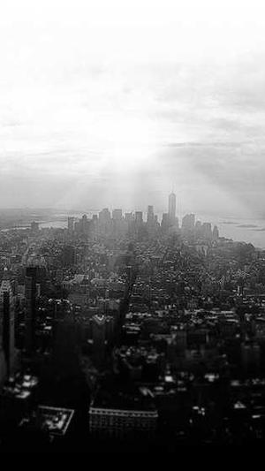 免费的蜘蛛池推荐截图2