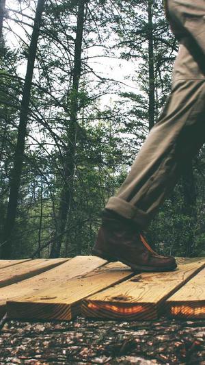 零距离泛目录营销截图5