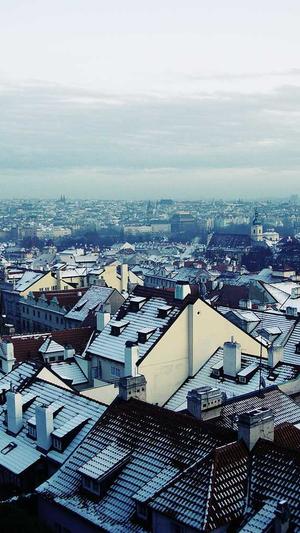 网站seo检测工具截图5