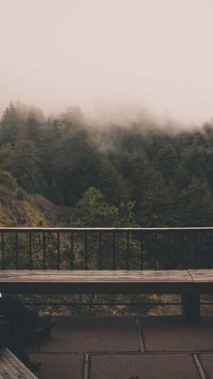 重庆企业seo截图1