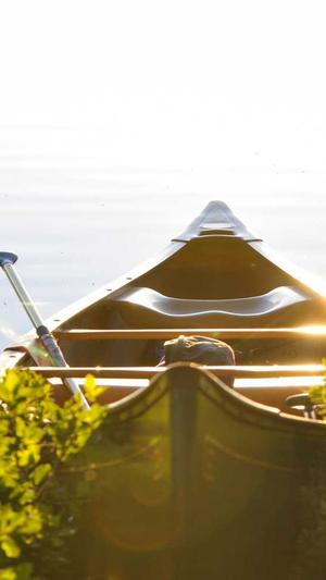 百度蜘蛛池原理图截图2