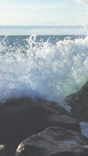 斗牛seo工具截图4