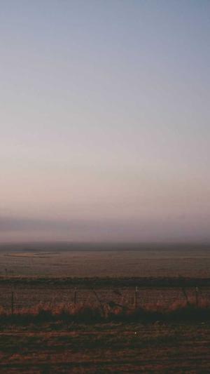 网站站建设截图2