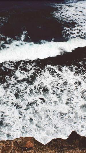 seo外链推广工具截图2