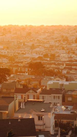 小强泛目录站群破解版截图2