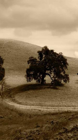 蜘蛛池出租托管截图1