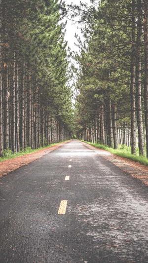 免费蜘蛛池搭建教程图截图3