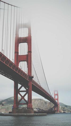 一个域名泛目录站群截图2