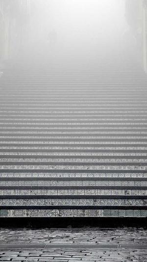 自己搭建蜘蛛池截图3