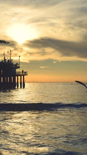 蜘蛛池源码破解版截图4