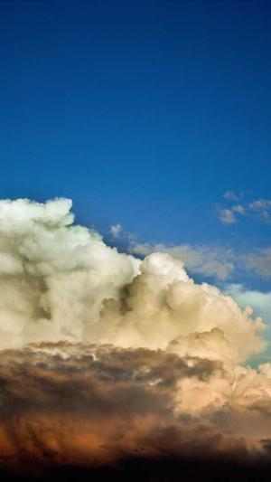 seo培训教程蜘蛛池截图3