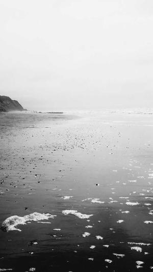 免费的蜘蛛池推荐截图1