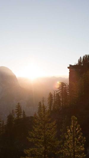 网站优化seo小工具截图5