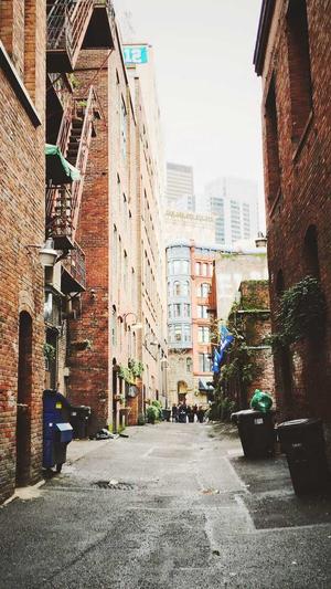 天津seo博客截图3