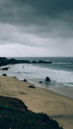 湖南蜘蛛池出租包月截图4