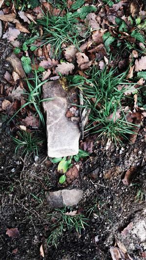 免费seo工具外推截图3