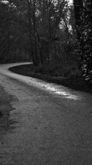 黑猫seo优化工具截图3