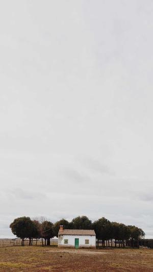 蜘蛛池租用网站违法吗截图3