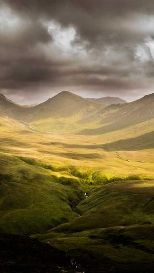 采菊蜘蛛池免费版截图1