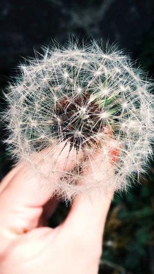 蜘蛛池外lian截图5