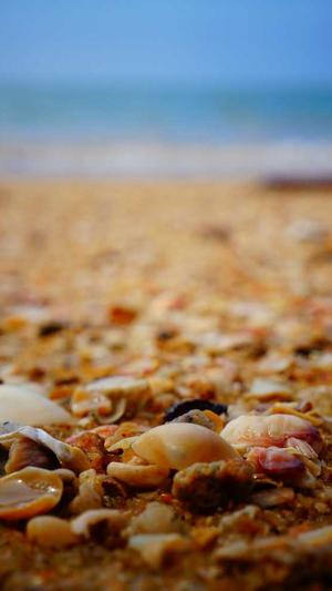 搜狗seo蜘蛛池推广排名截图1