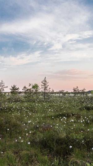 中国建设监理协会网站截图3