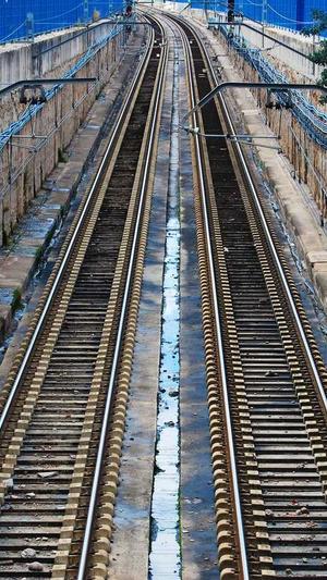 免费的蜘蛛池推荐截图4