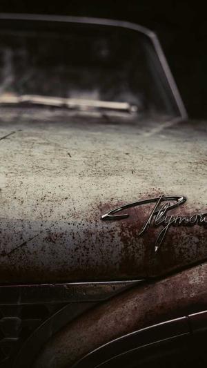 蜘蛛池推送截图4