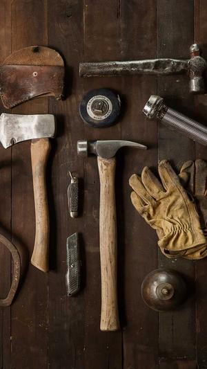 蜘蛛池的坏处和好处截图1