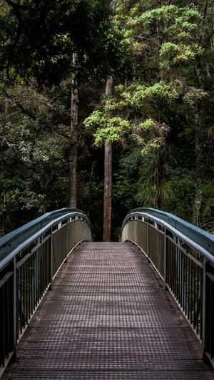 金华seo优化截图4