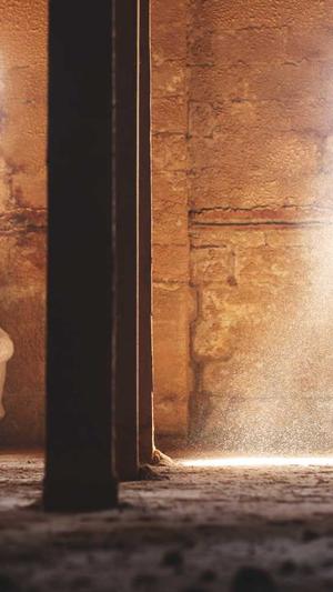 彩云贝seo查询工具截图5