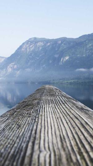 东营seo优化截图2