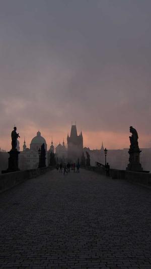 蜘蛛池搭建关键词推广截图5