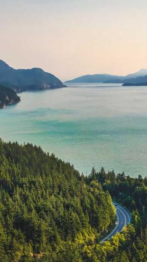 做站群泛目录截图1