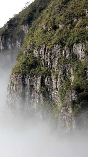 蜘蛛池出租价格表截图2