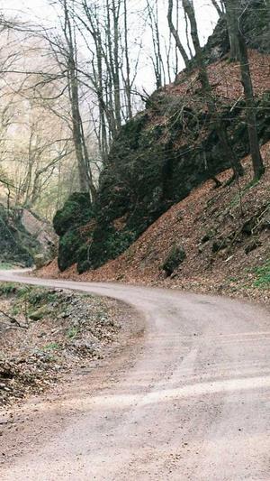 东营seo优化截图3