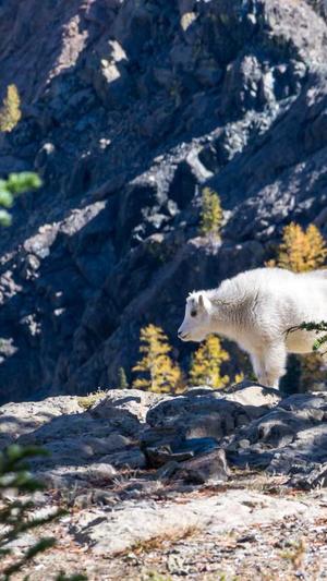 站群和蜘蛛池截图1