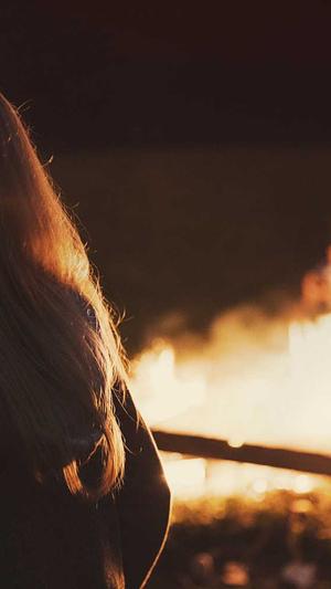 蜘蛛池破解截图2