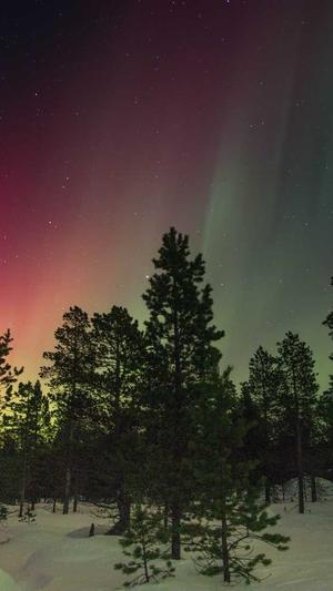 怎么用蜘蛛池赚钱最快截图2