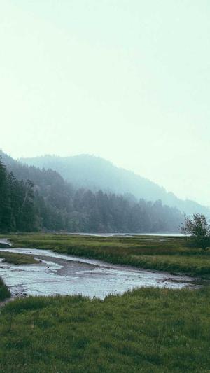 滴滴蜘蛛池截图1