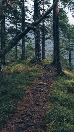 排名seo优化截图3